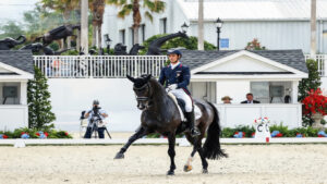 Симонсон захватил лидерство на чемпионате USEF с результатом 75,196%